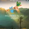 About Relaxing Flute Music Song